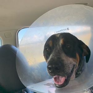 Meet your Posher, Steven